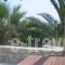 Giannoulaki Hotel_travel_packages_in_Cyclades Islands_Mykonos_Mykonos Chora