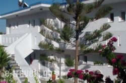 Creta Vassakis Studios_s __1