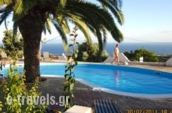 Sofia Studios_s __1