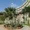 Marmari Bay Hotel_lowest prices_in_Hotel_Central Greece_Evia_Krya Vrysi