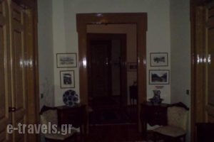 Panellinion_accommodation_in_Hotel_Thessaly_Trikala_Trikala City