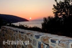 Creta Star_s __1