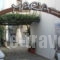 Studios Maria_accommodation_in_Apartment_Aegean Islands_Samos_Samos Rest Areas