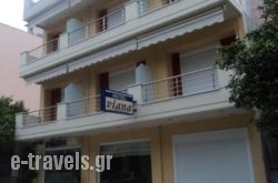 Viana_s __1