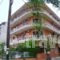 Themis_best prices_in_Hotel_Central Greece_Evia_Edipsos