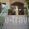Lerna Rooms_lowest prices_in_Apartment_Peloponesse_Argolida_Kiveri