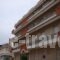 Hermes_best prices_in_Hotel_Central Greece_Evia_Edipsos