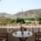 Stefanos Studios_lowest prices_in_Apartment_Dodekanessos Islands_Patmos_Skala