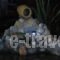 Samantha Paradise_holidays_in_Apartment_Peloponesse_Argolida_Kiveri