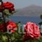 Villa Irini_travel_packages_in_Crete_Chania_Almyrida