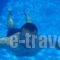 Apollo Apartments_travel_packages_in_Crete_Rethymnon_Plakias