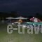 Eric's Studios_travel_packages_in_Aegean Islands_Thasos_Chrysi Ammoudia
