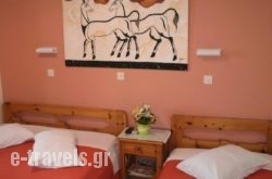 Villa Stella_s __1