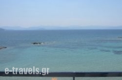 Avra in Aigina Chora, Aigina, Piraeus Islands - Trizonia