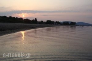 Haus Eleonas_travel_packages_in_Macedonia_Halkidiki_Poligyros