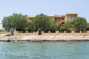 Little Bay_lowest prices_in_Apartment_Crete_Chania_Stavros