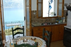Olympia's House_s __1