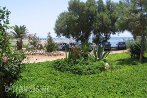 Maria's Studios_holidays_in_Apartment_Crete_Chania_Sfakia