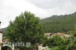 Studio Barbara_s __1
