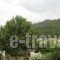 Studio Barbara_accommodation_in_Apartment_Aegean Islands_Thasos_Chrysi Ammoudia