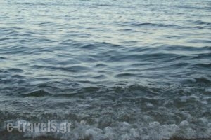 Haus Eleonas_holidays_in_Hotel_Macedonia_Halkidiki_Poligyros
