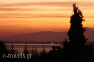 Haus Eleonas_best prices_in_Hotel_Macedonia_Halkidiki_Poligyros