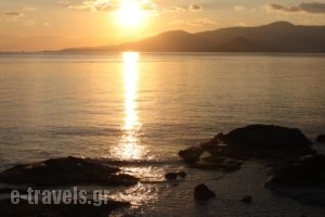 Mina'S Studios In Naxos Island_best deals_Hotel_Cyclades Islands_Naxos_Agia Anna