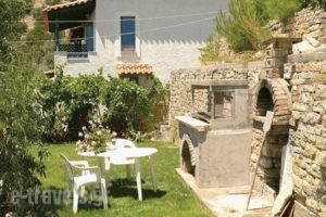 Blue Horizon_best deals_Hotel_Aegean Islands_Samos_Marathokambos