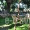 Ionian Paradise_lowest prices_in_Hotel_Ionian Islands_Lefkada_Lefkada's t Areas