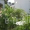 Nefeli_holidays_in_Hotel_Dodekanessos Islands_Kalimnos_Kalimnos Rest Areas