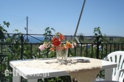 Emilia Apartments_s __1