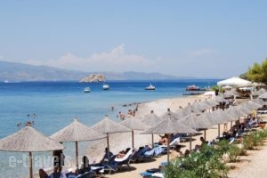 Four Seasons Hydra Luxury Suites_best prices_in_Hotel_Piraeus Islands - Trizonia_Hydra_Hydra Chora