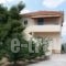 Maistros Studios_travel_packages_in_Central Greece_Fokida_Galaxidi