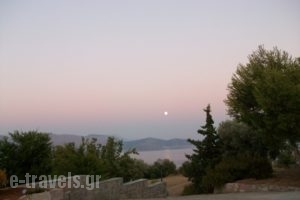 Maistros Studios_best deals_Apartment_Central Greece_Fokida_Galaxidi