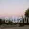 Maistros Studios_best deals_Apartment_Central Greece_Fokida_Galaxidi