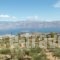 Maistros Studios_holidays_in_Apartment_Central Greece_Fokida_Galaxidi