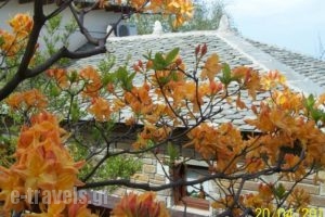 Gardenia Studios_lowest prices_in_Hotel_Thessaly_Magnesia_Mouresi
