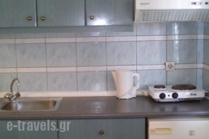 Dioskouroi Apts_best prices_in_Hotel_Crete_Heraklion_Ammoudara
