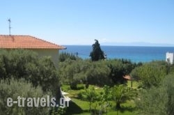 Petradaki Apartments_s __1