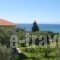 Petradaki Apartments_accommodation_in_Apartment_Macedonia_Halkidiki_Kassandreia