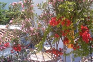Alkionides Pension_lowest prices_in_Hotel_Piraeus Islands - Trizonia_Hydra_Hydra Chora