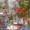 Alkionides Pension_lowest prices_in_Hotel_Piraeus Islands - Trizonia_Hydra_Hydra Chora