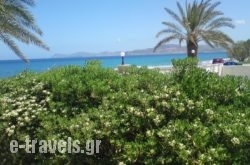 Hotel Petras Beach in Sitia, Lasithi, Crete