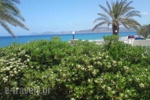 Hotel Petras Beach_accommodation_in_Hotel_Crete_Lasithi_Sitia