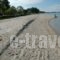 Villa Despina_best deals_Villa_Macedonia_Halkidiki_Nea Skioni