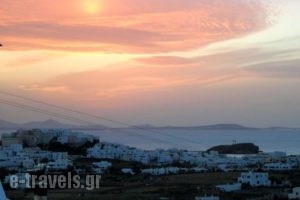 Studios Petros_accommodation_in_Hotel_Cyclades Islands_Naxos_Naxos chora
