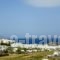 Studios Petros_lowest prices_in_Hotel_Cyclades Islands_Naxos_Naxos chora