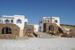 TinosView_accommodation_in_Apartment_Cyclades Islands_Tinos_Agios Fokas