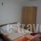 Villa Ilias_holidays_in_Villa_Macedonia_Pieria_Olympiaki Akti