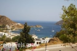 Panorama_s __1
